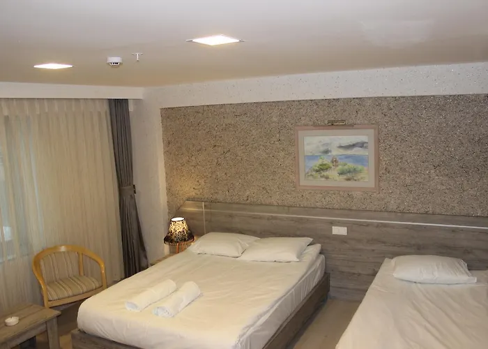 Tavsanli Hotel 3*